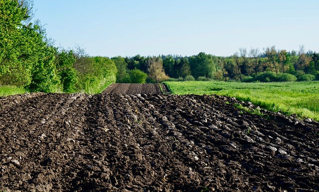Cultivos y soluciones para el campo