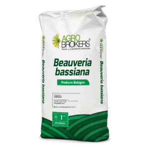 Beauveria bassiana
