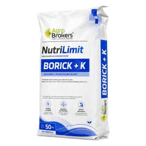 Borick K