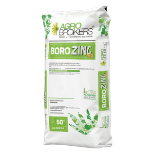 BoroZinc