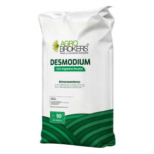 Desmodium