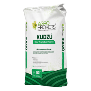 Kudzu