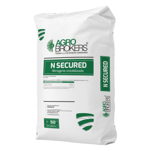 N-Secured